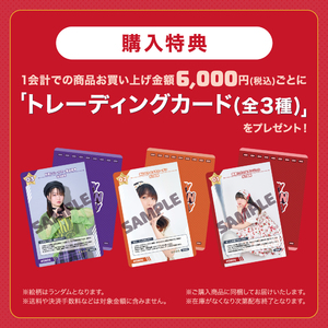 ランダムアクリルヘアゴム (全5種)